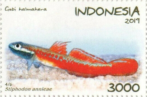 Annie's Dwarf Goby